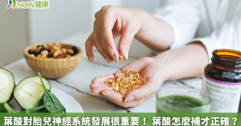 葉酸對胎兒神經系統發展很重要! 葉酸怎麼補才正確?