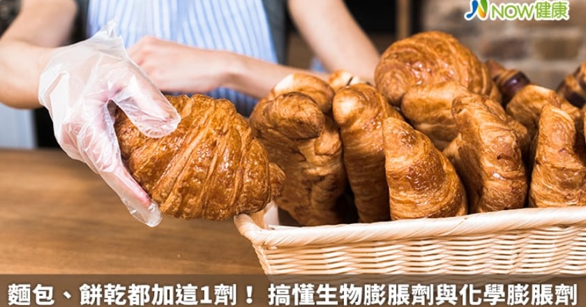 麵包、餅乾都加這1劑! 搞懂生物膨脹劑與化學膨脹劑
