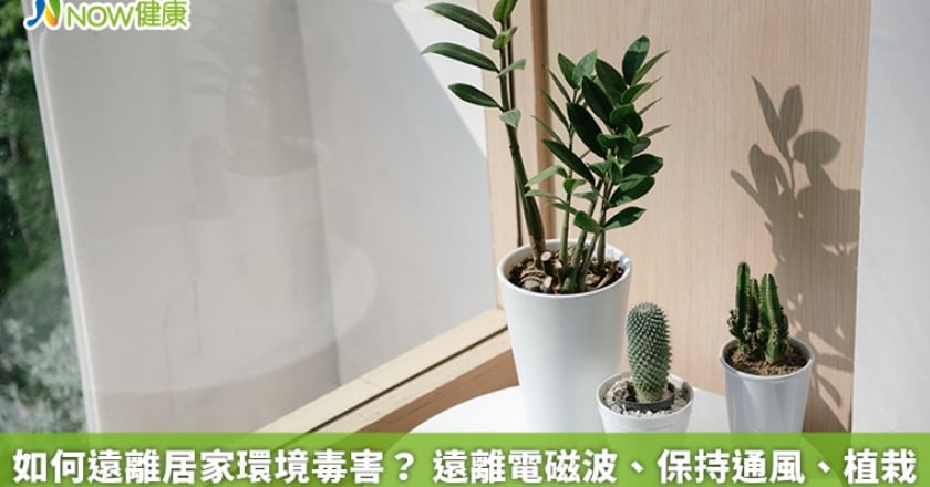 如何遠離居家環境毒害? 遠離電磁波、保持通風、植栽