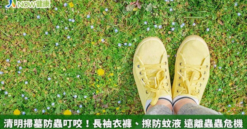 清明掃墓防蟲叮咬！長袖衣褲、擦防蚊液 遠離蟲蟲危機