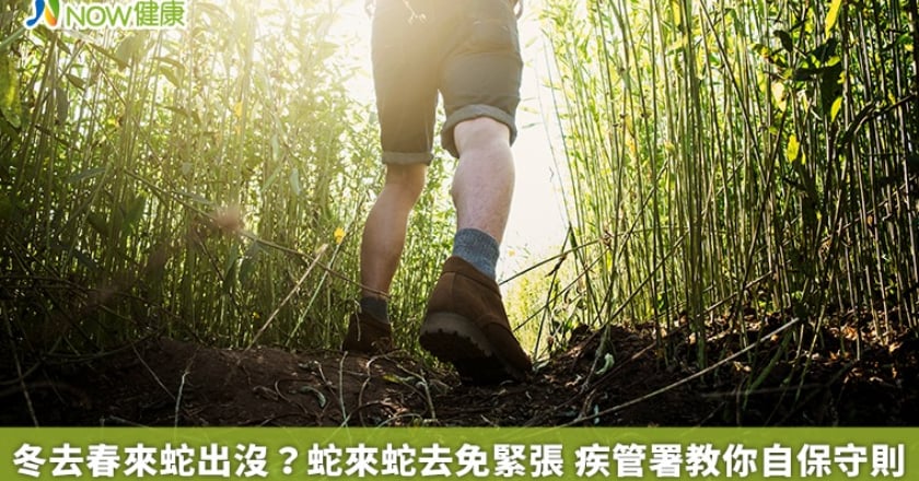 冬去春來蛇出沒?蛇來蛇去免緊張 疾管署教你自保守則