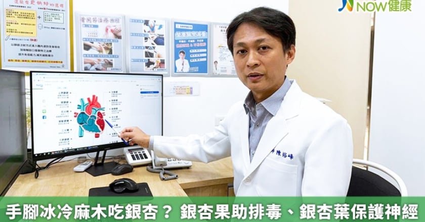 手腳冰冷麻木吃銀杏？ 銀杏果助排毒、銀杏葉保護神經