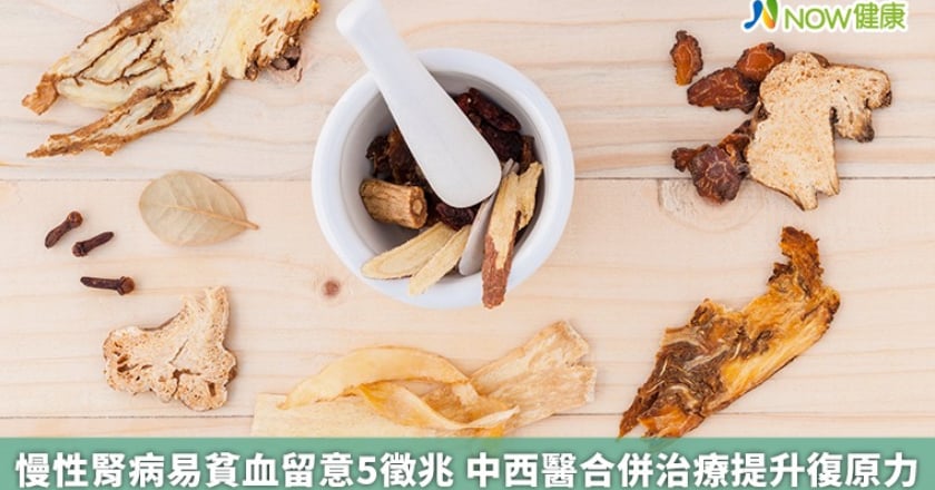 慢性腎病易貧血留意5徵兆 中西醫合併治療提升復原力