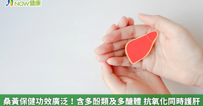 桑黃保健功效廣泛!含多酚類及多醣體 抗氧化同時護肝