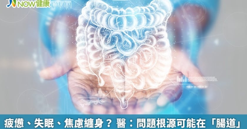 疲憊、失眠、焦慮纏身？ 醫：問題根源可能在「腸道」
