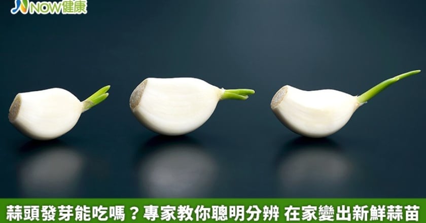 蒜頭發芽能吃嗎？專家教你聰明分辨 在家變出新鮮蒜苗