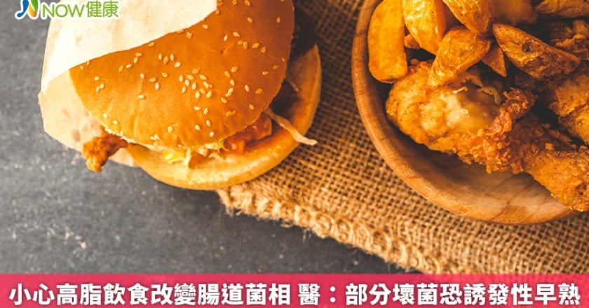 小心高脂飲食改變腸道菌相 醫:部分壞菌恐誘發性早熟