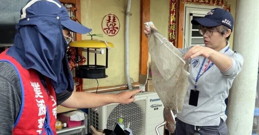 嘉義男染今年首例日本腦炎 籲落實防蚊與接種疫苗