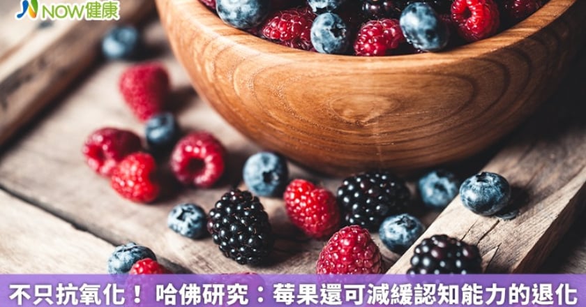 不只抗氧化！ 哈佛研究：莓果還可減緩認知能力的退化