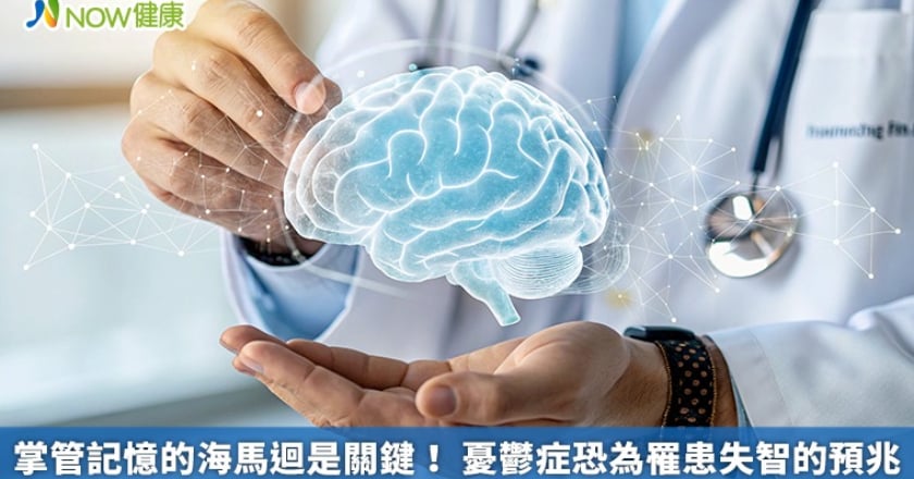 掌管記憶的海馬迴是關鍵！ 憂鬱症恐為罹患失智的預兆