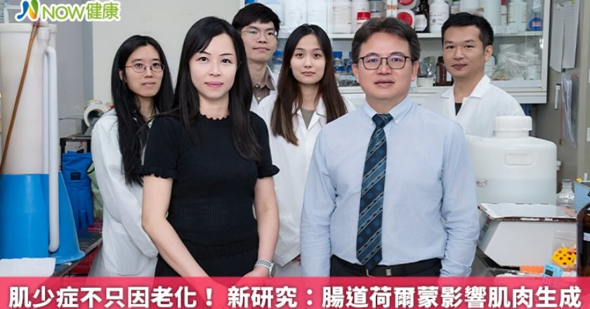 肌少症不只因老化！ 新研究：腸道荷爾蒙影響肌肉生成