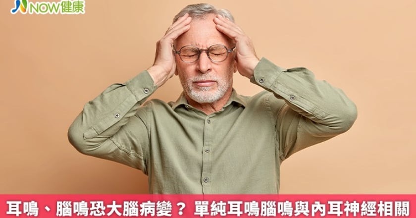 耳鳴、腦鳴恐大腦病變？ 單純耳鳴腦鳴與內耳神經相關