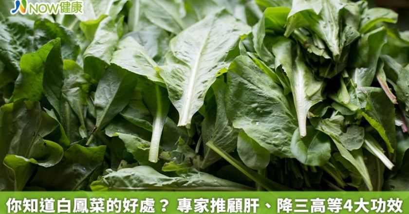 你知道白鳳菜的好處? 專家推顧肝、降三高等4大功效