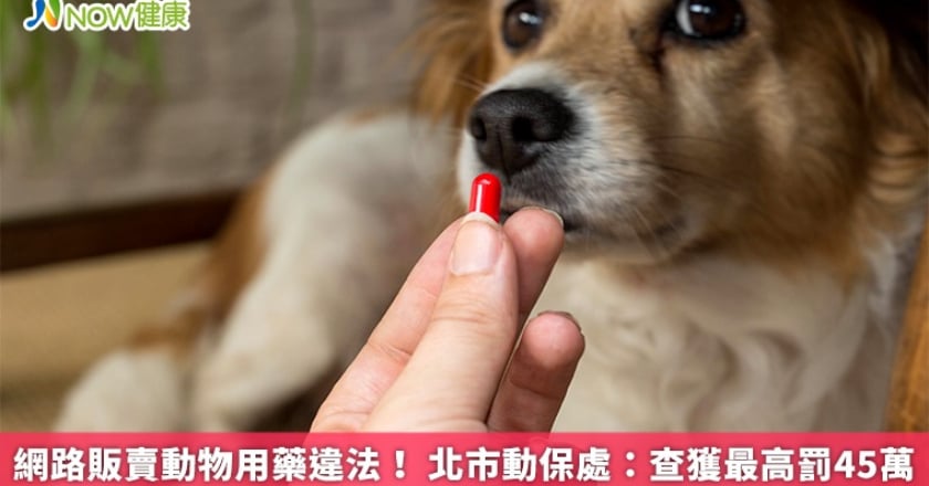 網路販賣動物用藥違法！ 北市動保處：查獲最高罰45萬