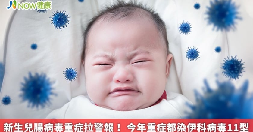 新生兒腸病毒重症拉警報！ 今年重症都染伊科病毒11型