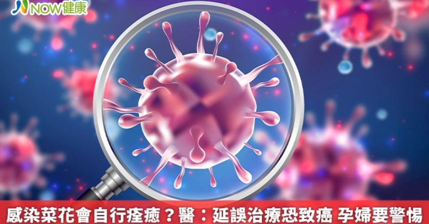感染菜花會自行痊癒？醫：延誤治療恐致癌 孕婦要警惕