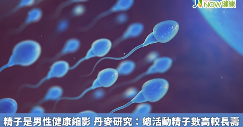 精子是男性健康縮影 丹麥研究:總活動精子數高較長壽