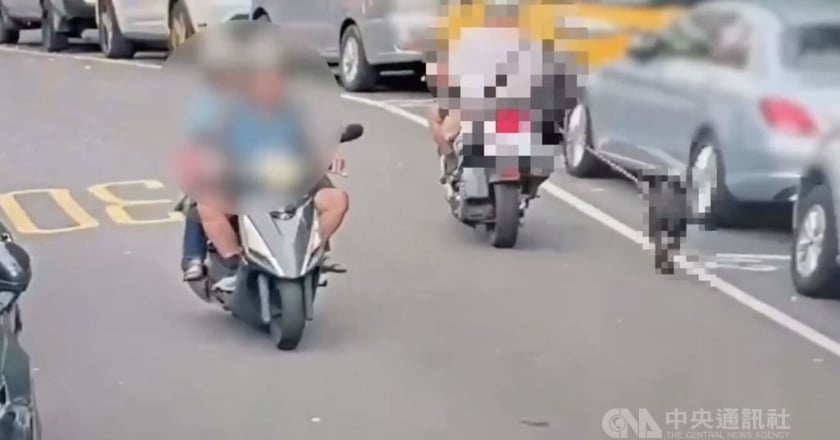 北市南港老翁騎車拖狗致死 涉違反動保法送辦