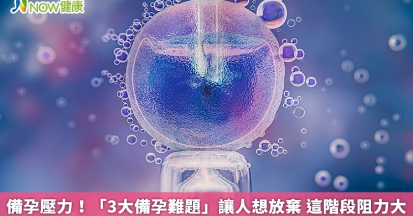 備孕壓力！「3大備孕難題」讓人想放棄 這階段阻力大