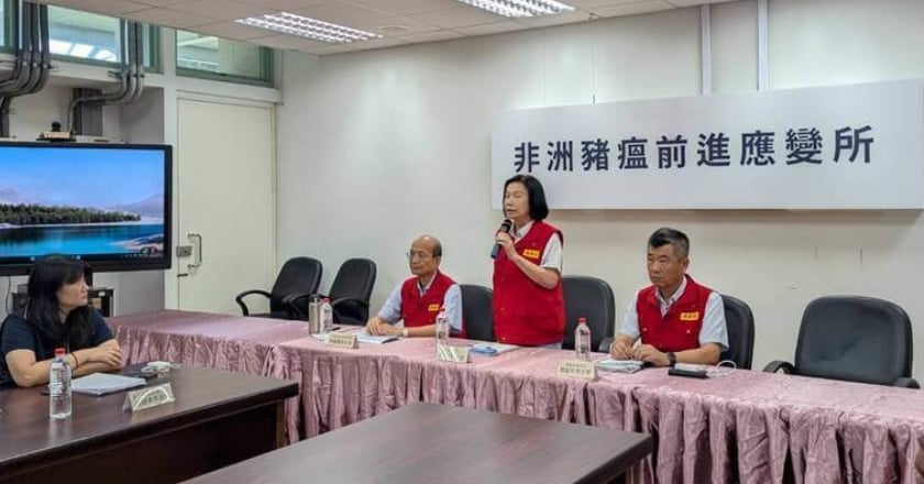 台中養豬場疑非洲豬瘟28頭流向3縣市 農業部：28頭豬皆安全