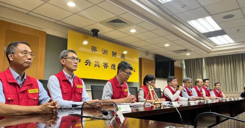 非洲豬瘟案場消毒後仍檢出病毒 陳時中要求明提完整疫調