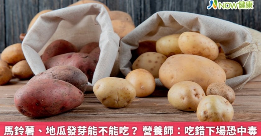 馬鈴薯、地瓜發芽能不能吃？ 營養師：吃錯下場恐中毒