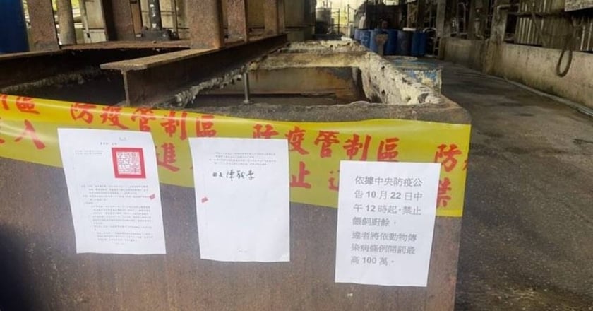 新北查獲2養豬場違規廚餘養豬 開罰206萬並取消補助