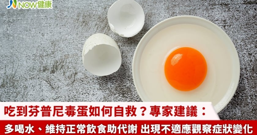 吃到芬普尼毒蛋如何自救?專家建議:多喝水、維持正常飲食助代謝 出現不適應觀察症狀變化