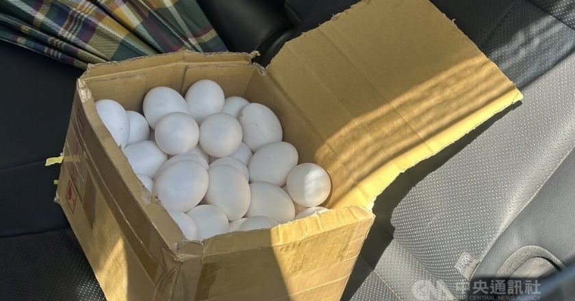 芬普尼蛋流入台中 彰化縣府坦承疏失 石崇良:擴大抽驗雞蛋