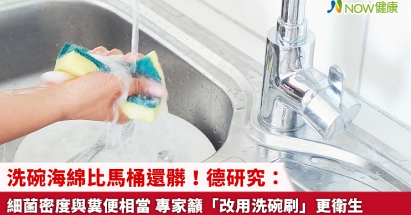 洗碗海綿比馬桶還髒!德研究:細菌密度與糞便相當 專家籲「改用洗碗刷」更衛生