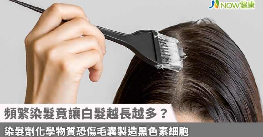 頻繁染髮竟讓白髮越長越多？ 染髮劑化學物質恐傷毛囊製造黑色素細胞