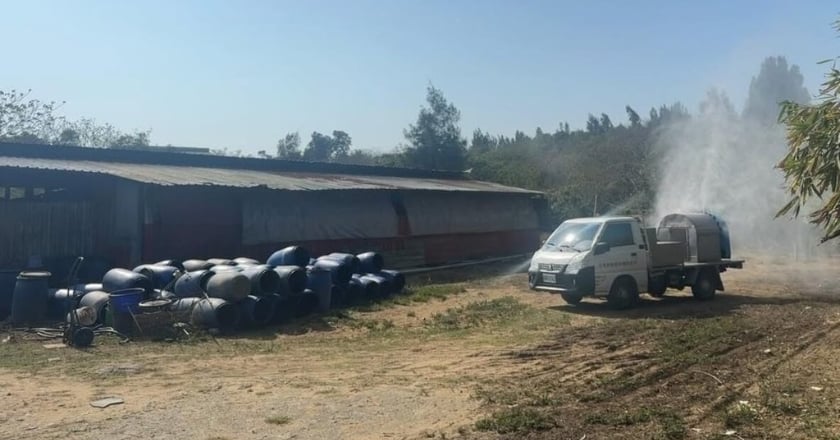 苗栗後龍畜牧場4豬暴斃 送驗檢測非洲豬瘟皆陰性