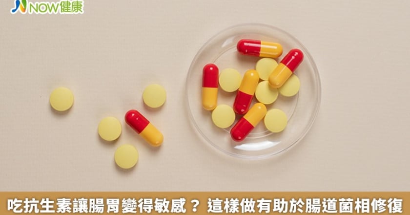 吃抗生素讓腸胃變得敏感？ 這樣做有助於腸道菌相修復