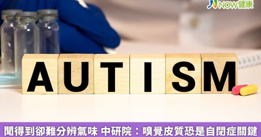 聞得到卻難分辨氣味 中研院:嗅覺皮質恐是自閉症關鍵