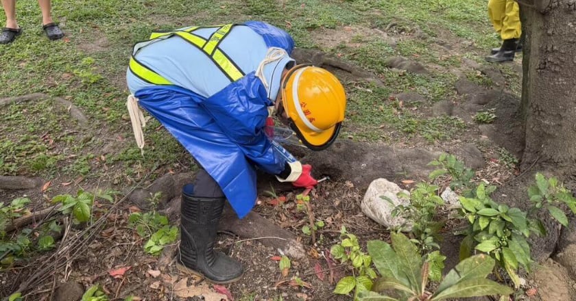北市府鼠患處理遭質疑 蔣萬安：將擬定具體因應措施