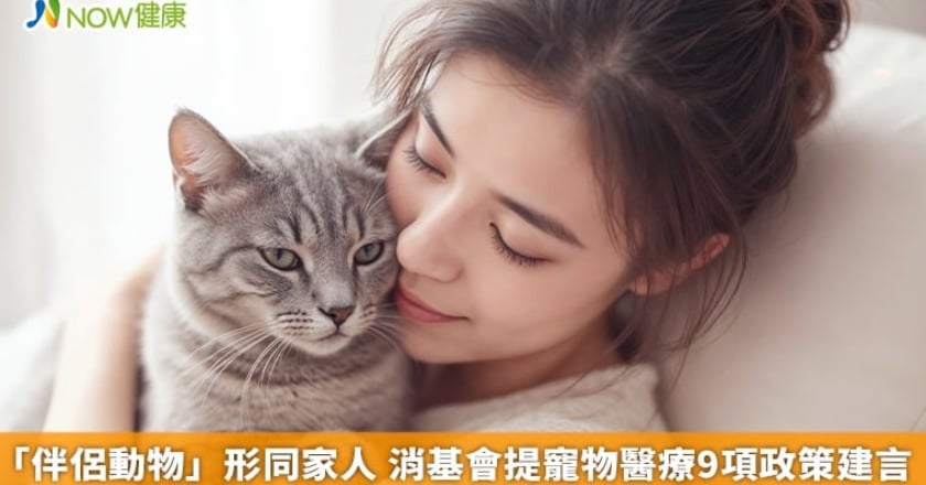 「伴侶動物」形同家人 消基會提寵物醫療9項政策建言