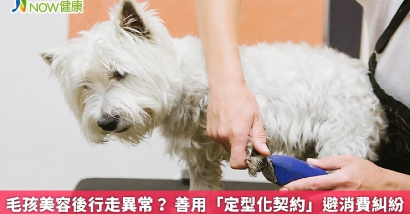 毛孩美容後行走異常？ 善用「定型化契約」避消費糾紛