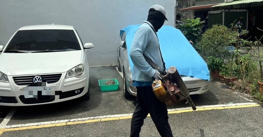 嘉市首例境外移入登革熱 越南旅遊返台學生確診