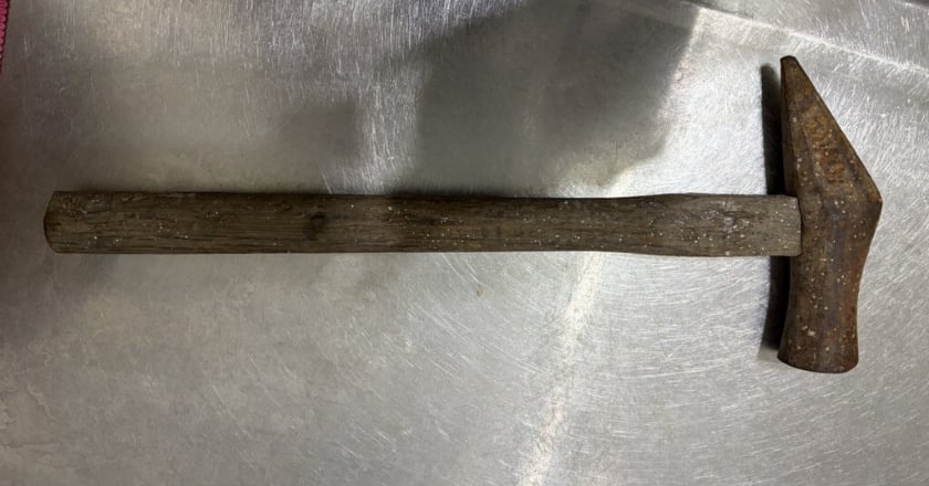 三重男持鐵鎚狠砸流浪貓 動保處送辦最重可判2年