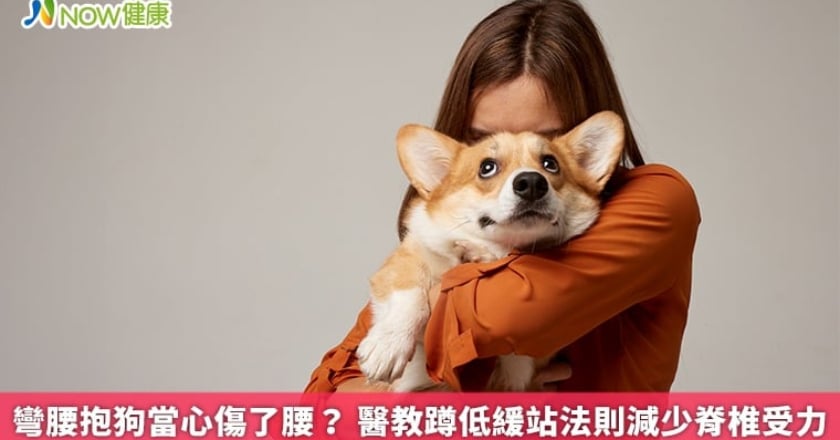 彎腰抱狗當心傷了腰？ 醫教蹲低緩站法則減少脊椎受力