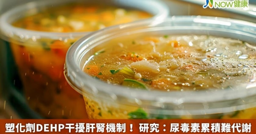 塑化劑DEHP干擾肝腎機制！ 研究：尿毒素累積難代謝