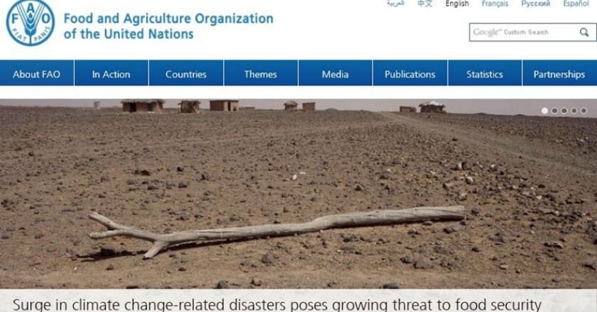 極端氣候惡化 FAO:發展中國家糧食危機升高