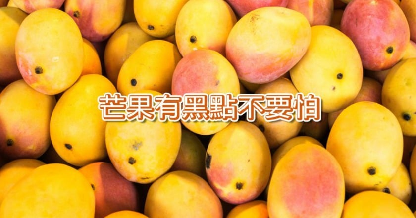 芒果長黑點不能吃？　專家：芒果病原不傷人體