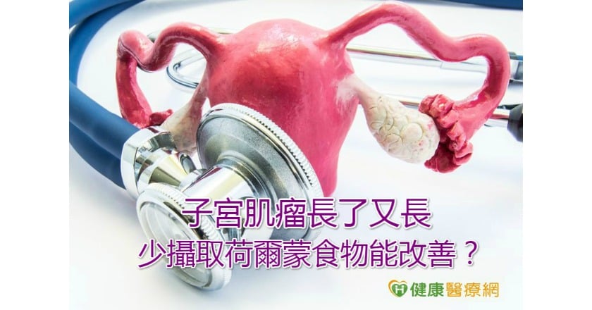 子宮肌瘤長了又長　少攝取荷爾蒙食物能改善？