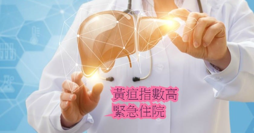 黃疸指數升高　從肝膽胰找病因