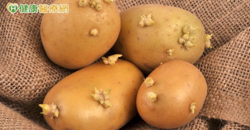 進口馬鈴薯食安爭議 食藥署:雙重檢驗「發芽腐敗整顆丟」