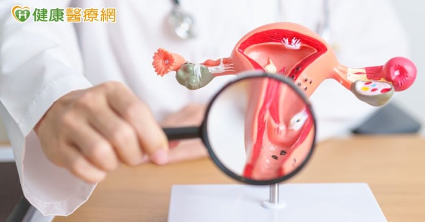 因備孕發現子宮頸癌前病變！醫籲：早期切除才能安心備孕