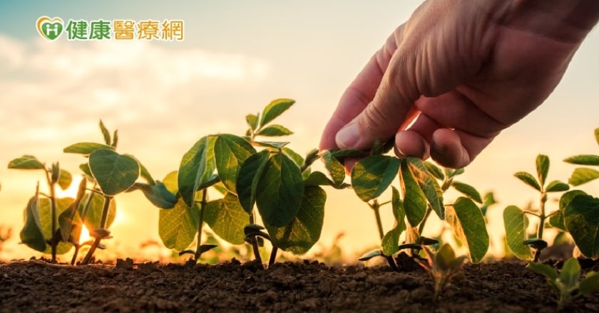 基因編輯跟基因改造有何不同？基改食品吃了傷身嗎？專家一次解析