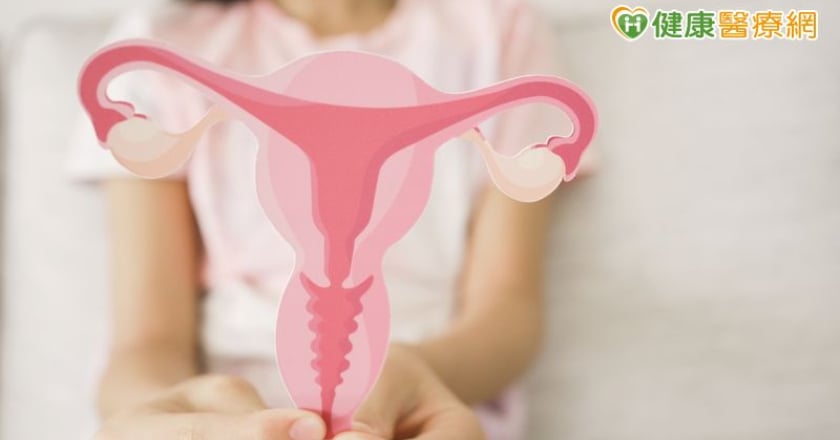 子宮肌瘤反覆增生？中醫溫宮、疏肝、解毒三大策略 改善子宮健康