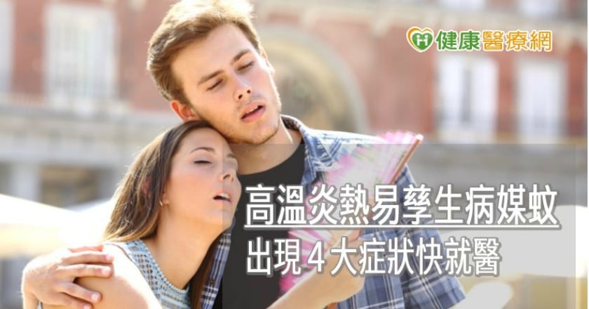 高溫炎熱易孳生病媒蚊　出現４大症狀快就醫